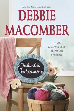 Juhuslik kohtumine. Teine raamat Debbie Macomber