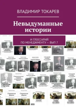 Невыдуманные истории. И глоссарий по менеджменту – вып 7, Владимир Токарев