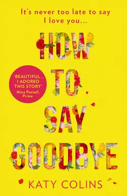 How to Say Goodbye, Katy Colins