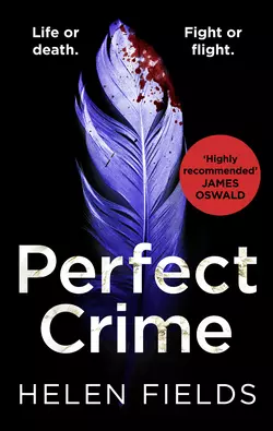 Perfect Crime, Helen Fields