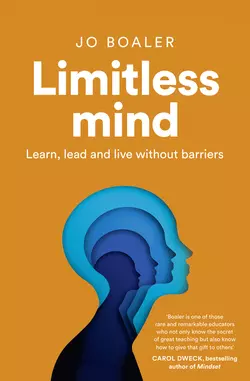 Limitless Mind, Джо Боулер