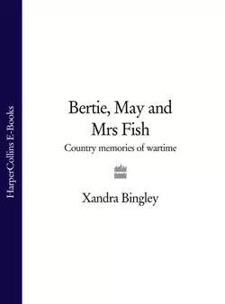 Bertie, May and Mrs Fish, Xandra Bingley