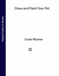 Draw and Paint your Pet, Susie Wynne