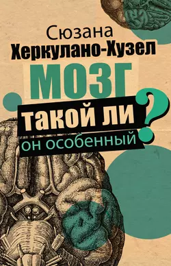 Мозг. Такой ли он особенный? Сюзана Херкулано-Хузел