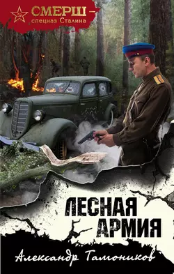 Лесная армия, Александр Тамоников