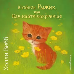 Котёнок Рыжик, или Как найти сокровище, Холли Вебб