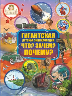 Что? Зачем? Почему? Дмитрий Кошевар и Ирина Барановская