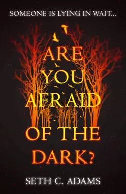 Are You Afraid of the Dark?, Seth Adams