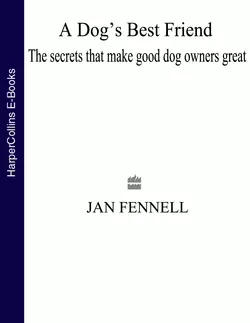 A Dog’s Best Friend: The Secrets that Make Good Dog Owners Great, Jan Fennell