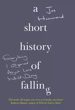 A Short History of Falling: Everything I Observed About Love Whilst Dying, Joe Hammond