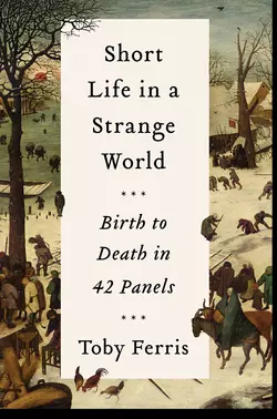 Short Life in a Strange World: Birth to Death in 42 Panels, Toby Ferris