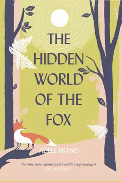 The Hidden World of the Fox, Adele Brand