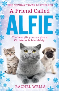 A Friend Called Alfie, Rachel Wells