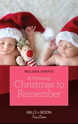 A Wyoming Christmas To Remember Melissa Senate