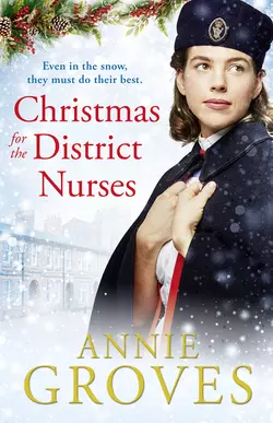 Christmas for the District Nurses, Annie Groves