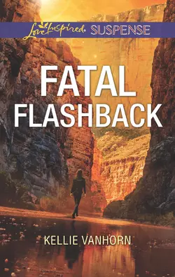 Fatal Flashback, Kellie VanHorn