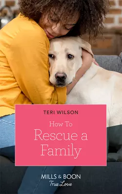 How To Rescue A Family Teri Wilson