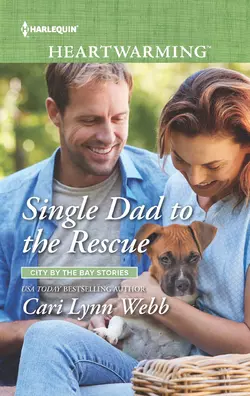 Single Dad To The Rescue, Cari Webb