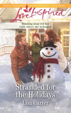 Stranded For The Holidays, Lisa Carter