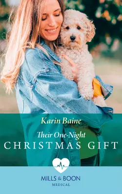 Their One-Night Christmas Gift Karin Baine