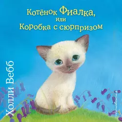 Котёнок Фиалка, или Коробка с сюрпризом, Холли Вебб