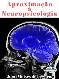 Aproximação À Neuropsicologia Juan Moisés De La Serna