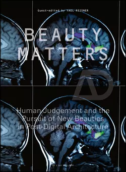 Beauty Matters, Yael Reisner