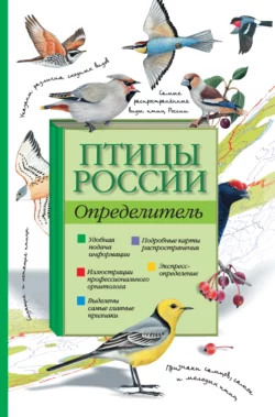 Птицы России. Определитель Петр Волцит и Алексей Мосалов