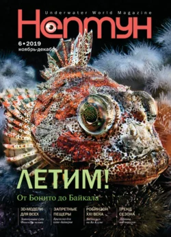 Нептун 6 2019 