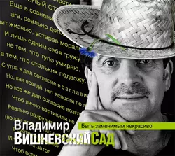 Вишневский сад. Быть заменимым некрасиво, Владимир Вишневский