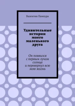 Удивительные истории моего маленького друга. Он появился с первым лучом солнца и перевернул всю мою жизнь, Валентин Пампура