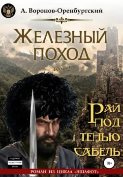 Железный поход. Том второй. Рай под тенью сабель, Андрей Воронов-Оренбургский