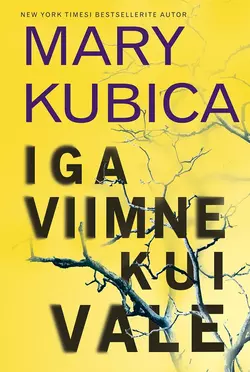 Iga viimne kui vale, Mary Kubica