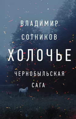 Холочье. Чернобыльская сага, Владимир Сотников