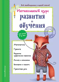 Интенсивный курс развития и обучения для детей 5-6 лет, Алла Волох