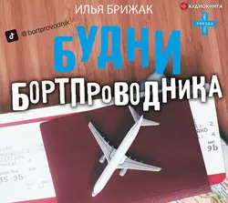 Будни бортпроводника, Илья Брижак