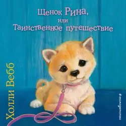 Щенок Рина, или Таинственное путешествие, Холли Вебб