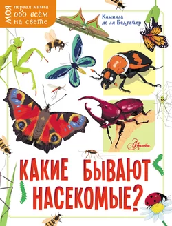 Какие бывают насекомые? Камилла Бедуайер