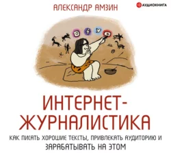 Интернет-журналистика. Как писать хорошие тексты, привлекать аудиторию и зарабатывать на этом, Александр Амзин