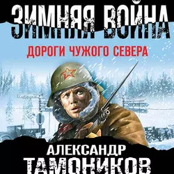 Зимняя война. Дороги чужого севера, Александр Тамоников