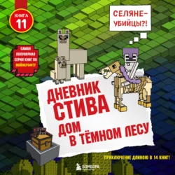 Дом в тёмном лесу, Minecraft Family