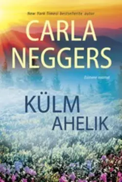 Külm ahelik. Esimene raamat Carla Neggers