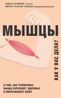 Мышцы. Как у вас дела?, Андреас Штипплер