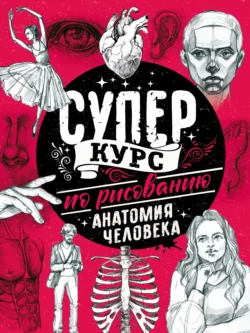 Суперкурс по рисованию. Анатомия человека Мистер Грей