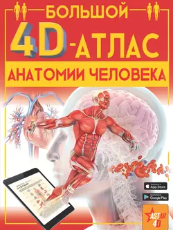 Большой 4D-атлас анатомии человека, Анна Спектор