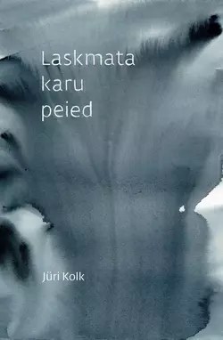 Laskmata karu peied, Jüri Kolk