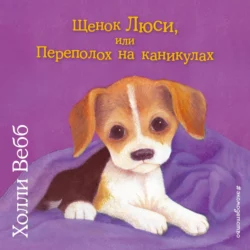 Щенок Люси, или Переполох на каникулах, Холли Вебб