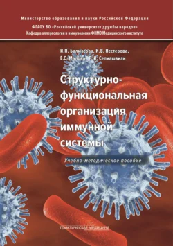 Структурно-функциональная организация иммунной системы, Ирина Балмасова