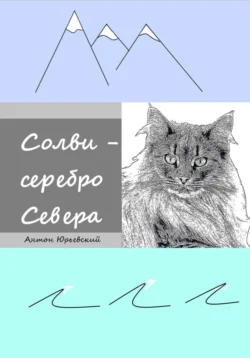 Солви – серебро Севера, Антон Юрьевский