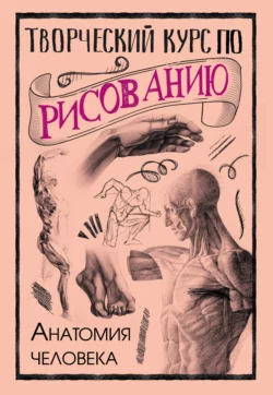 Творческий курс по рисованию. Анатомия человека, Мистер Грей